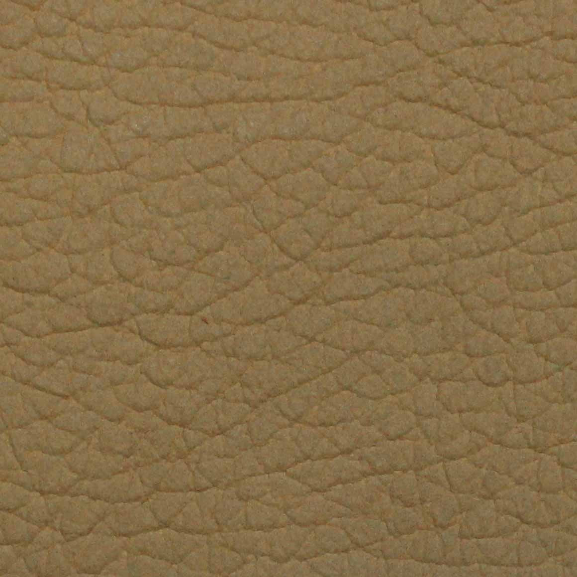 <img class='t_img' src='//www.hudsonfurniture.com.au/cdn/shop/t/39/assets/il_beige.jpg?v=119608740903091908391676957994'/><br/> <em>Beige</em>