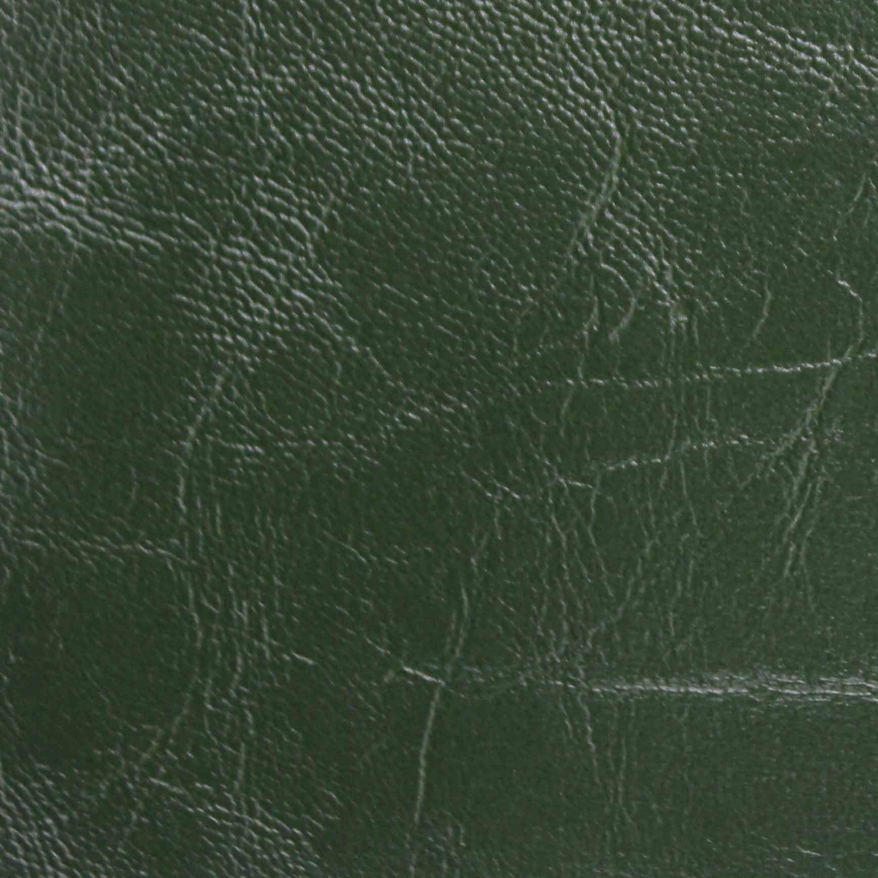 <img class='t_img' src='//www.hudsonfurniture.com.au/cdn/shop/t/39/assets/v_green.jpg?v=9439830219883781551676958063'/><br/> <em>Green</em>