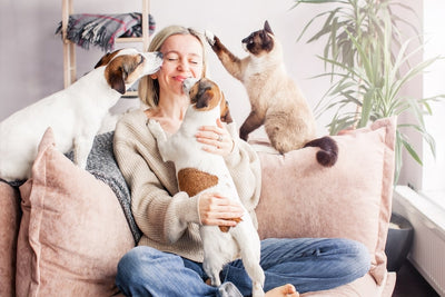 5 Best Pet-Friendly Furniture Fabrics